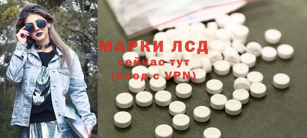 ПСИЛОЦИБИНОВЫЕ ГРИБЫ Артём