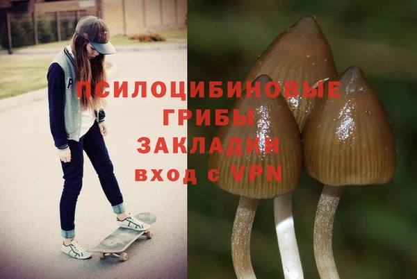 mdpv Ачинск