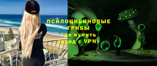 молекула духа Михайловка