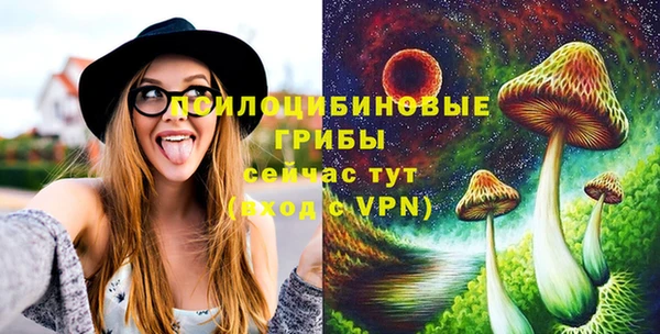 молекула духа Михайловка