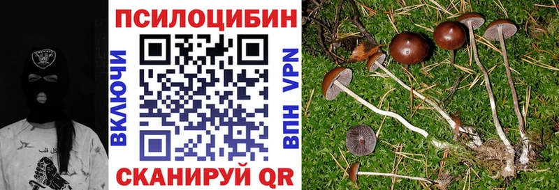 Псилоцибиновые грибы Psilocybine cubensis Нижние Серги